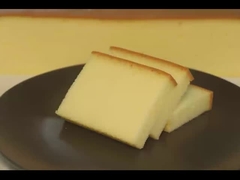 پودر امولسیفوری درجه غذایی با قدرت فوم کردن ≥ 250٪